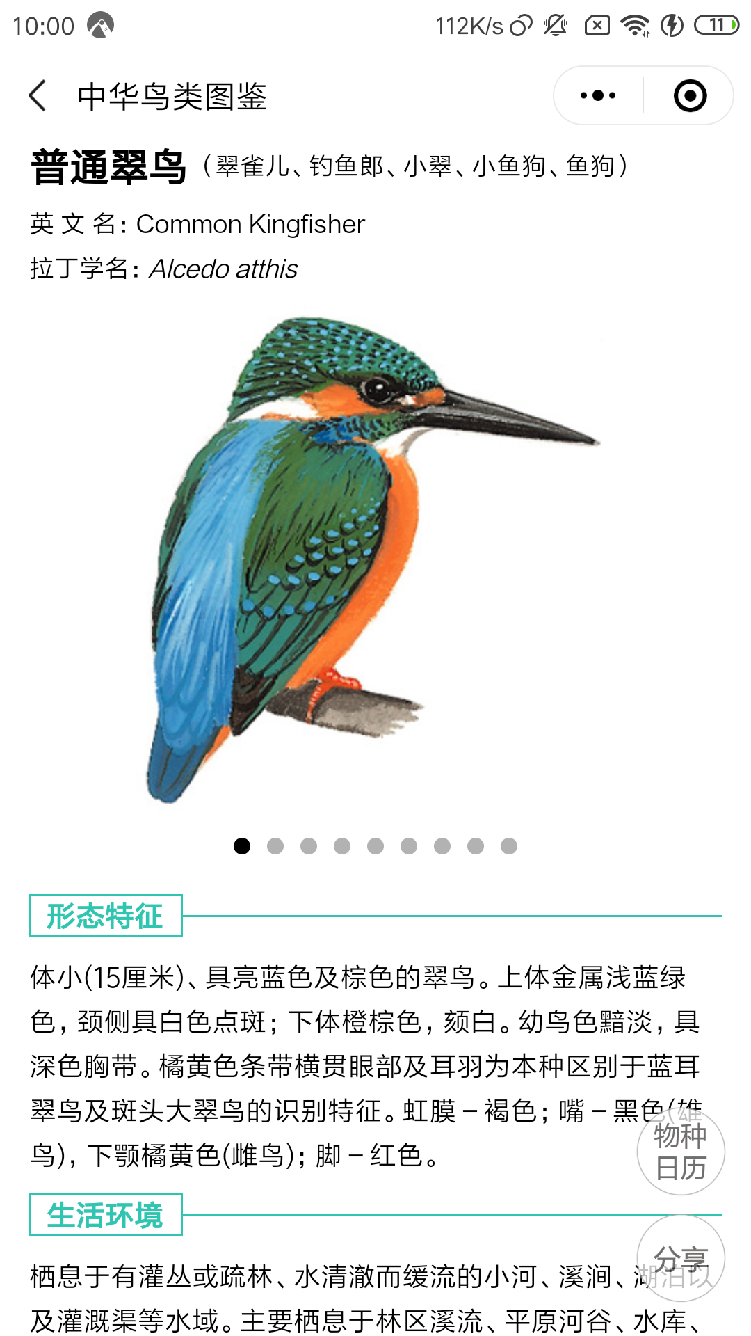 人民画报联合摄鸟人网站推出全新的微信栏目——《鸟类与环境》（第三期） - 鸟类与环境 - 摄鸟人网 - 摄鸟人网